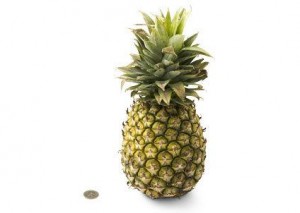 33-pineapple This is what baby orange is the size of today.